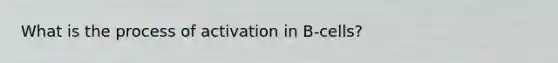 What is the process of activation in B-cells?