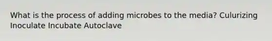 What is the process of adding microbes to the media? Culurizing Inoculate Incubate Autoclave