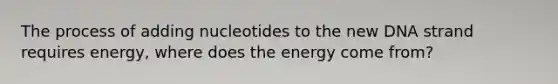 The process of adding nucleotides to the new DNA strand requires energy, where does the energy come from?