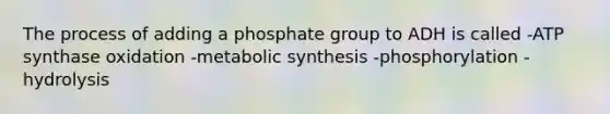 The process of adding a phosphate group to ADH is called -ATP synthase oxidation -metabolic synthesis -phosphorylation -hydrolysis