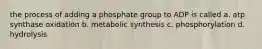 the process of adding a phosphate group to ADP is called a. atp synthase oxidation b. metabolic synthesis c. phosphorylation d. hydrolysis