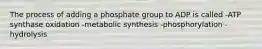 The process of adding a phosphate group to ADP is called -ATP synthase oxidation -metabolic synthesis -phosphorylation -hydrolysis