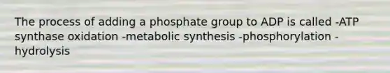 The process of adding a phosphate group to ADP is called -ATP synthase oxidation -metabolic synthesis -phosphorylation -hydrolysis