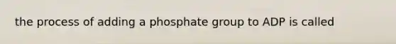 the process of adding a phosphate group to ADP is called