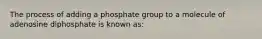 The process of adding a phosphate group to a molecule of adenosine diphosphate is known as: