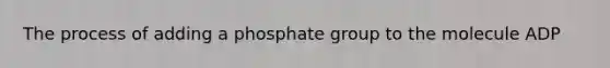 The process of adding a phosphate group to the molecule ADP