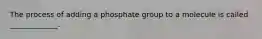 The process of adding a phosphate group to a molecule is called _____________.