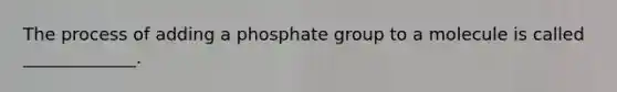 The process of adding a phosphate group to a molecule is called _____________.