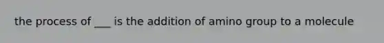 the process of ___ is the addition of amino group to a molecule