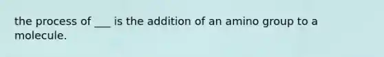 the process of ___ is the addition of an amino group to a molecule.