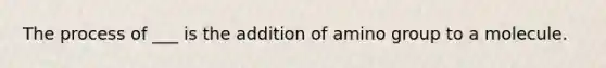 The process of ___ is the addition of amino group to a molecule.