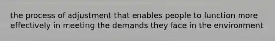 the process of adjustment that enables people to function more effectively in meeting the demands they face in the environment