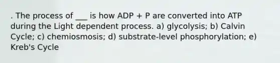 . The process of ___ is how ADP + P are converted into ATP during the Light dependent process. a) glycolysis; b) Calvin Cycle; c) chemiosmosis; d) substrate-level phosphorylation; e) Kreb's Cycle