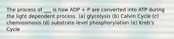 The process of ___ is how ADP + P are converted into ATP during the light dependent process. (a) glycolysis (b) Calvin Cycle (c) chemiosmosis (d) substrate-level phosphorylation (e) Kreb's Cycle