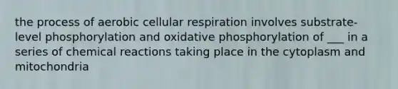 the process of aerobic cellular respiration involves substrate-level phosphorylation and oxidative phosphorylation of ___ in a series of chemical reactions taking place in the cytoplasm and mitochondria