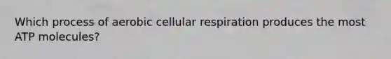 Which process of aerobic cellular respiration produces the most ATP molecules?