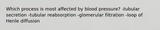 Which process is most affected by <a href='https://www.questionai.com/knowledge/kD0HacyPBr-blood-pressure' class='anchor-knowledge'>blood pressure</a>? -tubular secretion -tubular reabsorption -glomerular filtration -loop of Henle diffusion