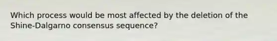 Which process would be most affected by the deletion of the Shine-Dalgarno consensus sequence?