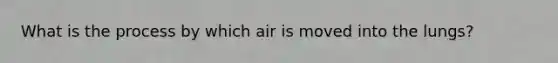 What is the process by which air is moved into the lungs?