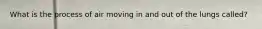 What is the process of air moving in and out of the lungs called?