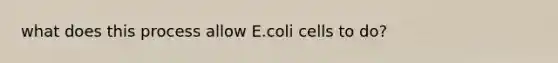 what does this process allow E.coli cells to do?