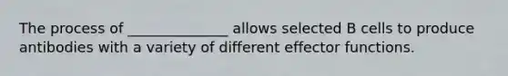 The process of ______________ allows selected B cells to produce antibodies with a variety of different effector functions.