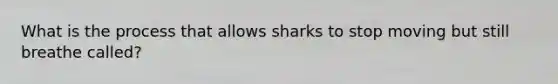 What is the process that allows sharks to stop moving but still breathe called?