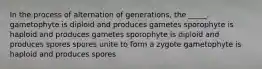 In the process of alternation of generations, the _____. gametophyte is diploid and produces gametes sporophyte is haploid and produces gametes sporophyte is diploid and produces spores spores unite to form a zygote gametophyte is haploid and produces spores