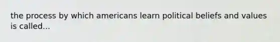 the process by which americans learn political beliefs and values is called...