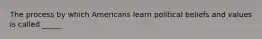 The process by which Americans learn political beliefs and values is called _____