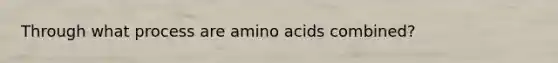 Through what process are amino acids combined?