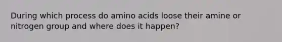 During which process do amino acids loose their amine or nitrogen group and where does it happen?