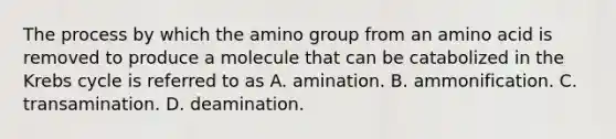 The process by which the amino group from an amino acid is removed to produce a molecule that can be catabolized in the Krebs cycle is referred to as A. amination. B. ammonification. C. transamination. D. deamination.