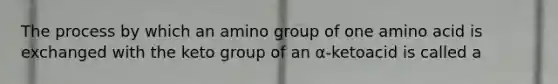 The process by which an amino group of one amino acid is exchanged with the keto group of an α-ketoacid is called a