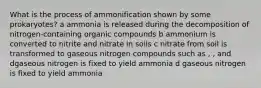 What is the process of ammonification shown by some prokaryotes? a ammonia is released during the decomposition of nitrogen-containing organic compounds b ammonium is converted to nitrite and nitrate in soils c nitrate from soil is transformed to gaseous nitrogen compounds such as , , and dgaseous nitrogen is fixed to yield ammonia d gaseous nitrogen is fixed to yield ammonia