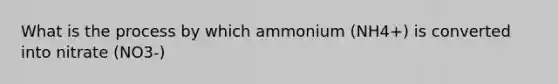 What is the process by which ammonium (NH4+) is converted into nitrate (NO3-)