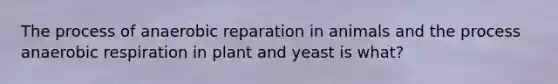 The process of anaerobic reparation in animals and the process anaerobic respiration in plant and yeast is what?