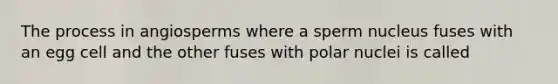 The process in angiosperms where a sperm nucleus fuses with an egg cell and the other fuses with polar nuclei is called