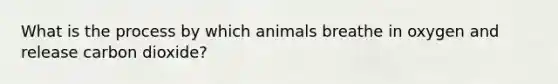 What is the process by which animals breathe in oxygen and release carbon dioxide?