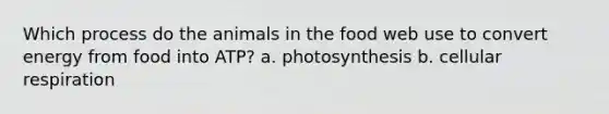 Which process do the animals in the food web use to convert energy from food into ATP? a. photosynthesis b. <a href='https://www.questionai.com/knowledge/k1IqNYBAJw-cellular-respiration' class='anchor-knowledge'>cellular respiration</a>