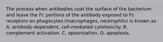 The process when antibodies coat the surface of the bacterium and leave the Fc portions of the antibody exposed to Fc receptors on phagocytes (macrophages, neutrophils) is known as A. antibody-dependent, cell-mediated cytotoxicity. B. complement activation. C. opsonization. D. apoptosis.