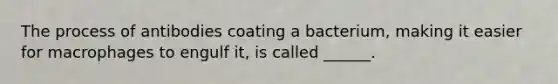 The process of antibodies coating a bacterium, making it easier for macrophages to engulf it, is called ______.