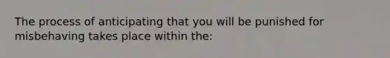 The process of anticipating that you will be punished for misbehaving takes place within the: