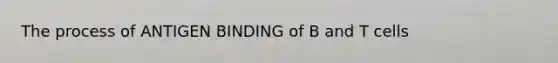 The process of ANTIGEN BINDING of B and T cells