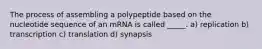 The process of assembling a polypeptide based on the nucleotide sequence of an mRNA is called _____. a) replication b) transcription c) translation d) synapsis