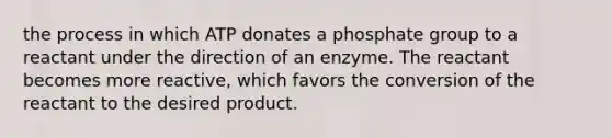 the process in which ATP donates a phosphate group to a reactant under the direction of an enzyme. The reactant becomes more reactive, which favors the conversion of the reactant to the desired product.