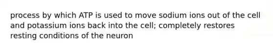 process by which ATP is used to move sodium ions out of the cell and potassium ions back into the cell; completely restores resting conditions of the neuron