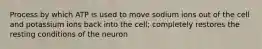 Process by which ATP is used to move sodium ions out of the cell and potassium ions back into the cell; completely restores the resting conditions of the neuron