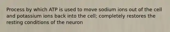 Process by which ATP is used to move sodium ions out of the cell and potassium ions back into the cell; completely restores the resting conditions of the neuron