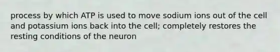 process by which ATP is used to move sodium ions out of the cell and potassium ions back into the cell; completely restores the resting conditions of the neuron